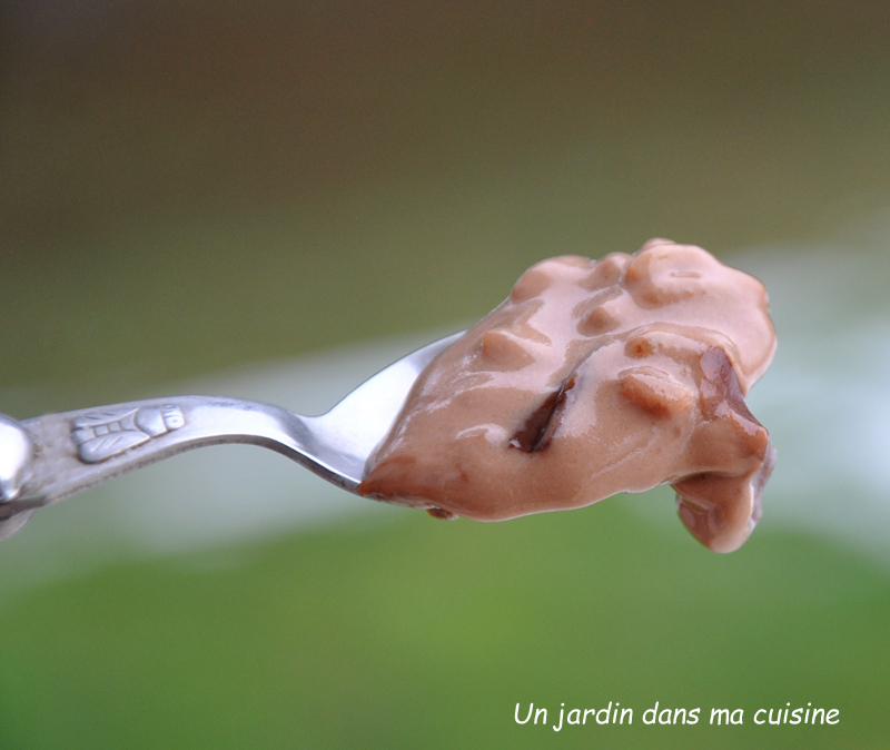 riz au lait pistoles de chocolat noir