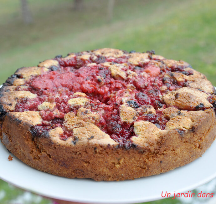 Gâteau graines de pavot framboises