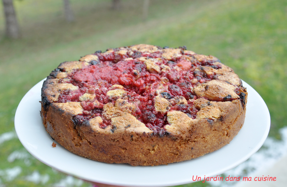 gâteau graines de pavot framboises