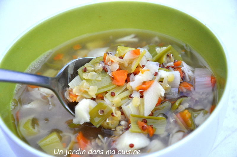 soupe quinoa lentilles et ses petits légumes