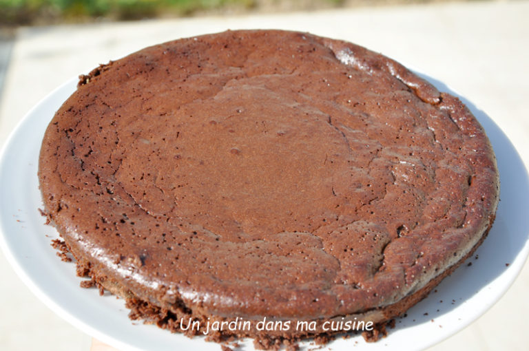 Gâteau chocolat bananes sans farine - Un jardin dans ma cuisine