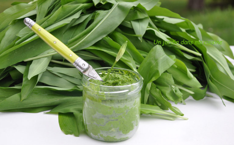 pesto ail des ours ou ail sauvage