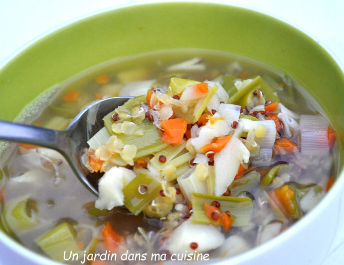 Soupe quinoa lentilles et ses petits légumes