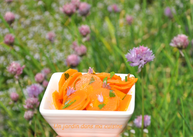 carottes froides marinées