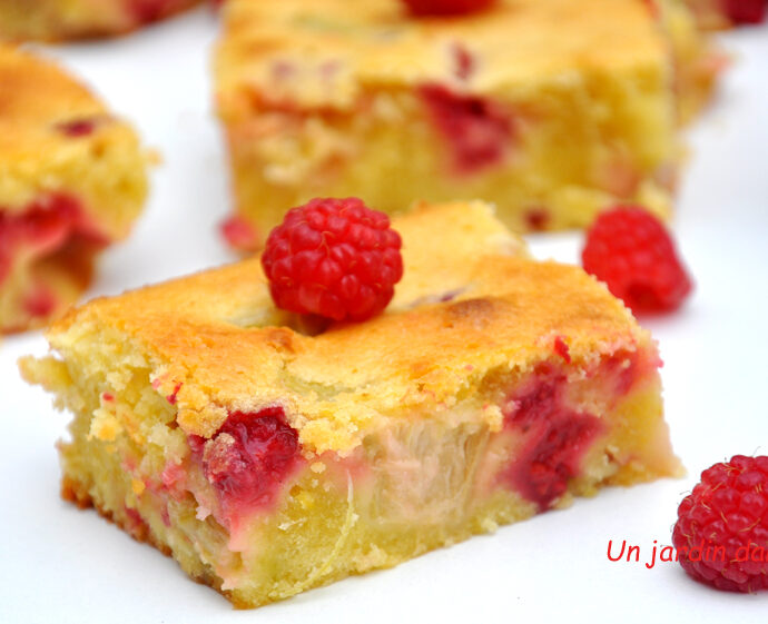 Gâteau rhubarbe framboises