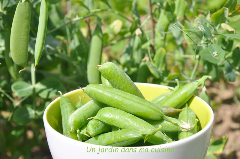 Salade De Feves Petits Pois Feta Et Menthe Un Jardin Dans Ma Cuisine