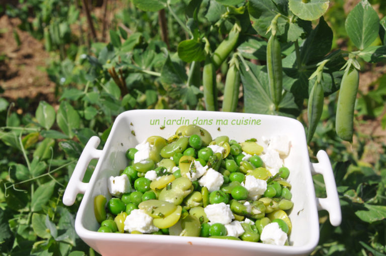 Salade de fèves petits pois feta et menhe