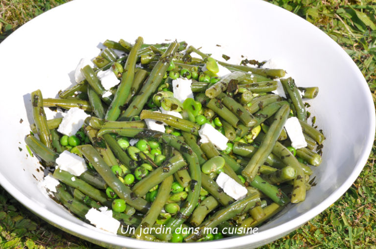 Trio de légumes verts feta menthe