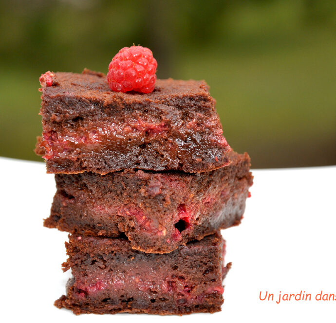 gâteau chocolat cœur framboises