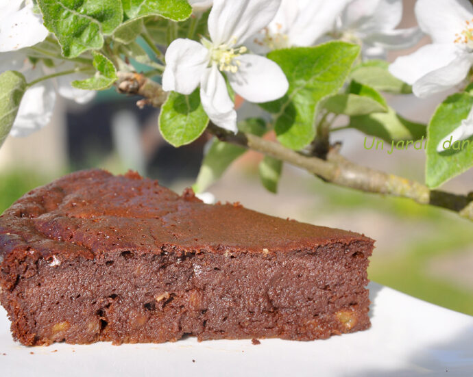 Gâteau chocolat bananes sans farine