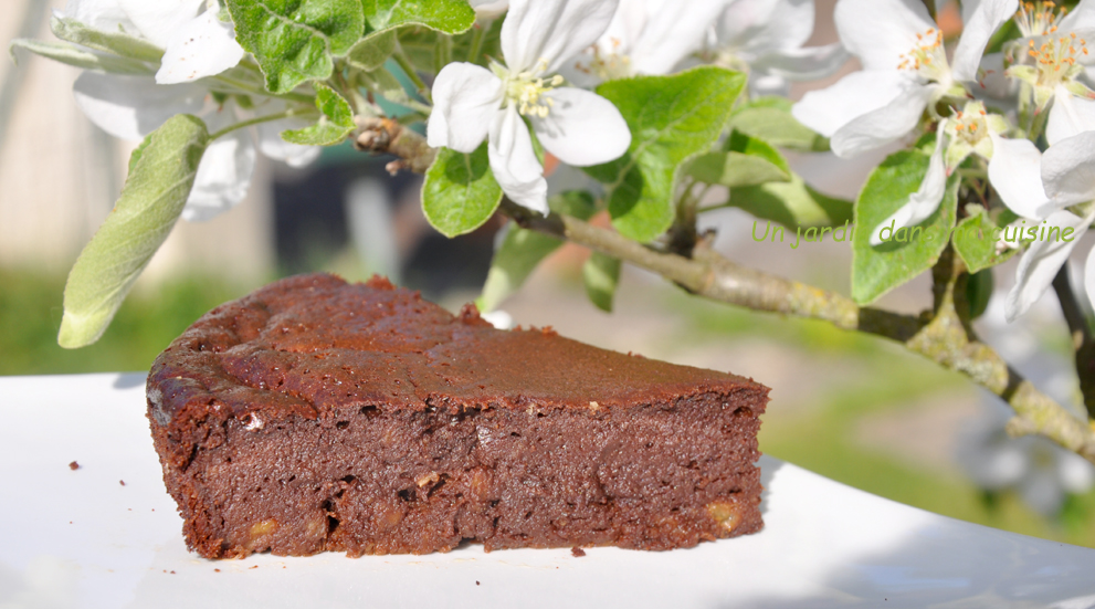 gâteau chocolat bananes sans farine