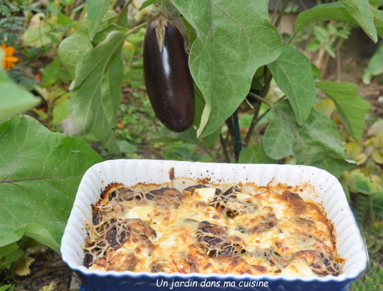 gratin aubergines tomates feta