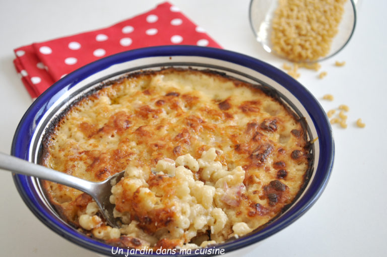 gratin de coquillettes