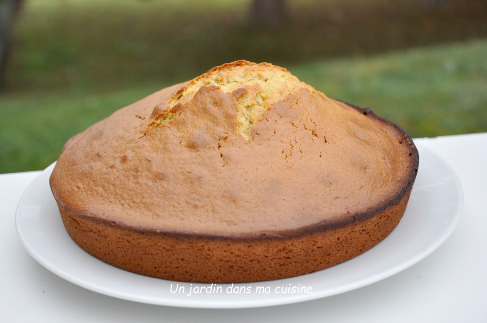 Gateau Des Enfants Un Jardin Dans Ma Cuisine