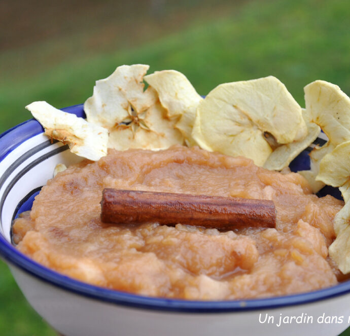 Compote de pommes oranges cannelle sans sucre ajouté