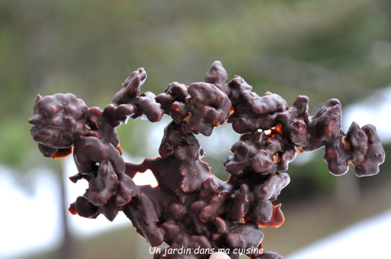 noix au chocolat noir