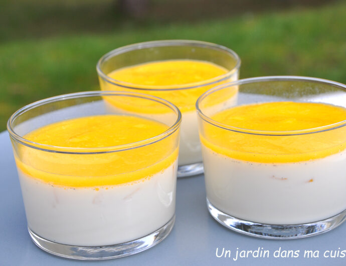 Panacotta mangue fraîche