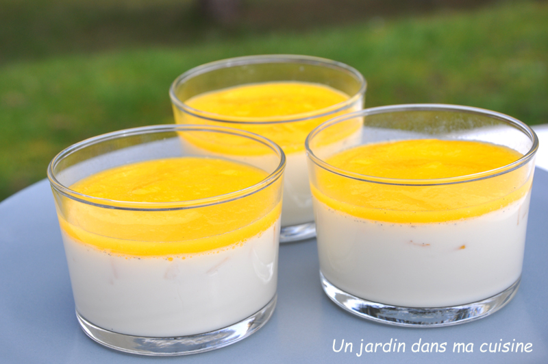 panacotta mangue fraîche