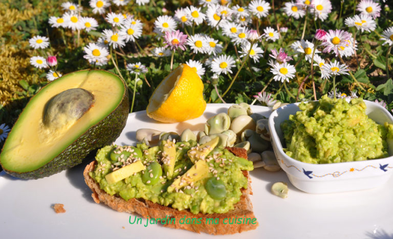 tartinade avocat fèves