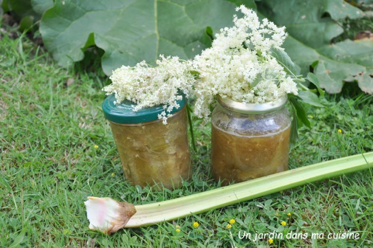 confiture rhubarbe fleurs de sureau