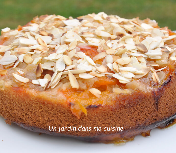 Gâteau abricots