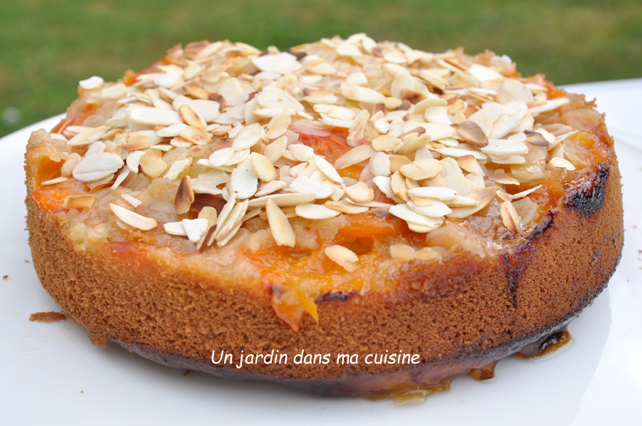 gâteau abricots