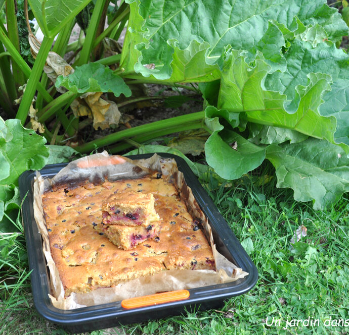 Gâteau rhubarbe fruits rouges