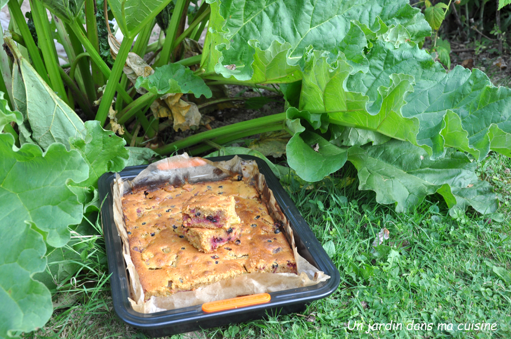 gâteau rhubarbe fruits rouges