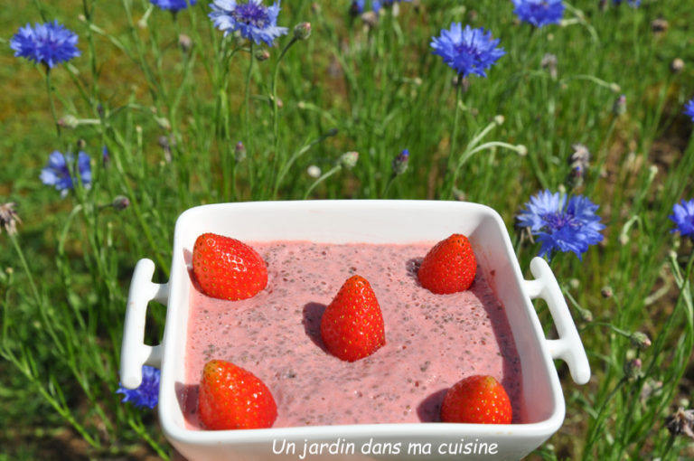 pudding de chia fruits rouges