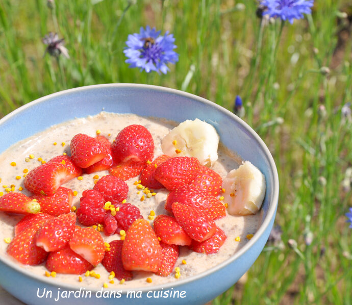 pudding de chia sans sucre raffiné