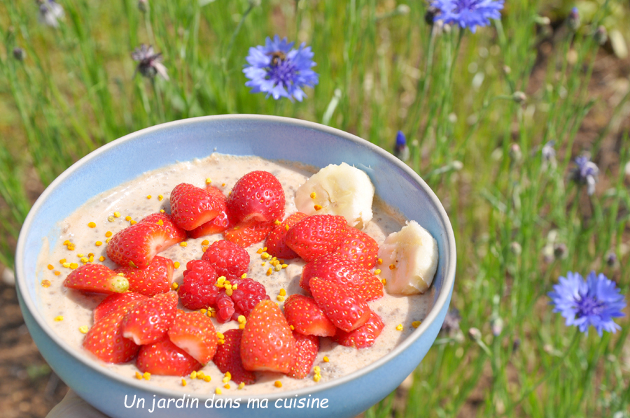 pudding de chia sans sucre raffiné