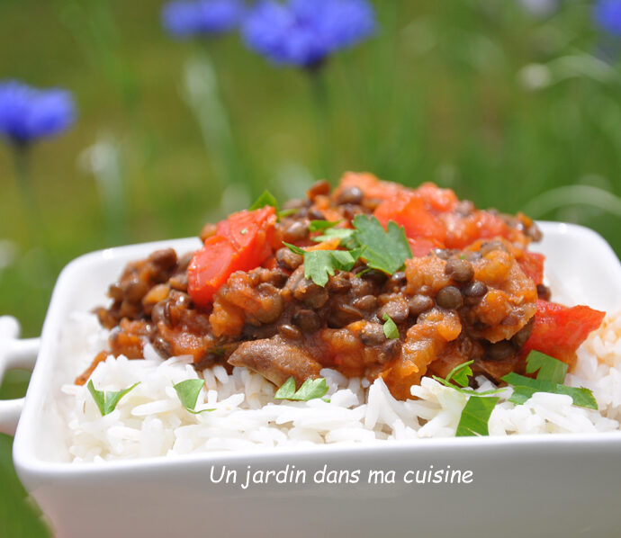 Sauce végétale légumes lentilles