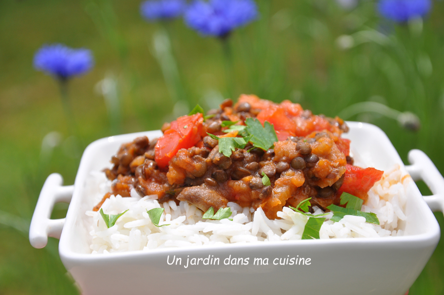 sauce végétale légumes lentiles