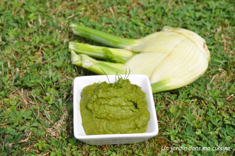 pesto fanes de fenouil et basilic
