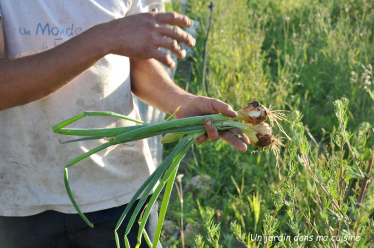 tristan le maraîcher bio qui parle à ses légumes