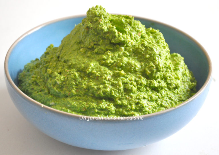 pesto de fanes de fenouil