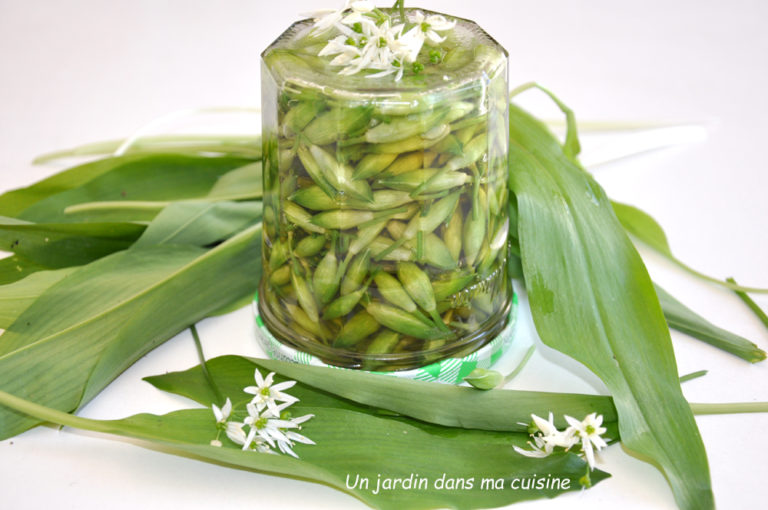 booutons ail des ours au vinaigre de cidre