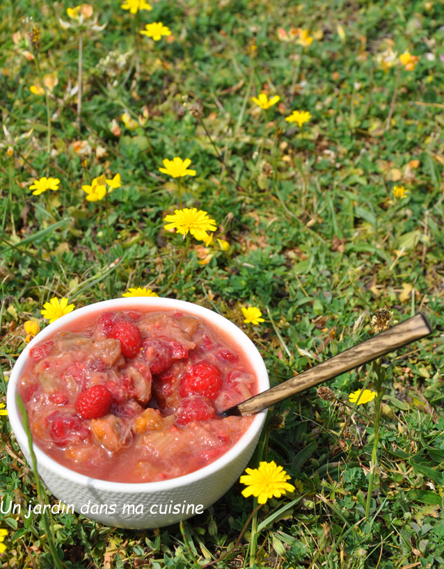 compote rhubarbe framboises sans sucre raffiné