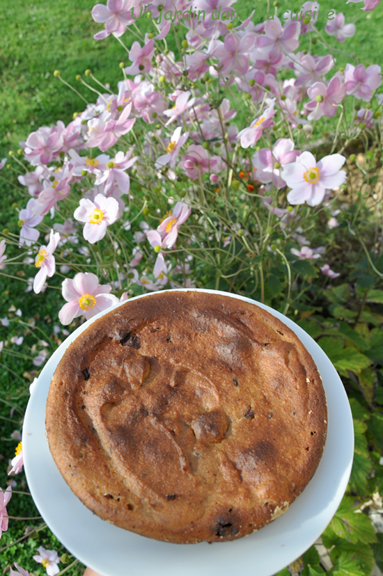 gâteau sans œuf