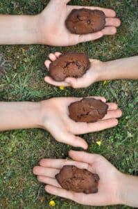 madeleines tout chocolat