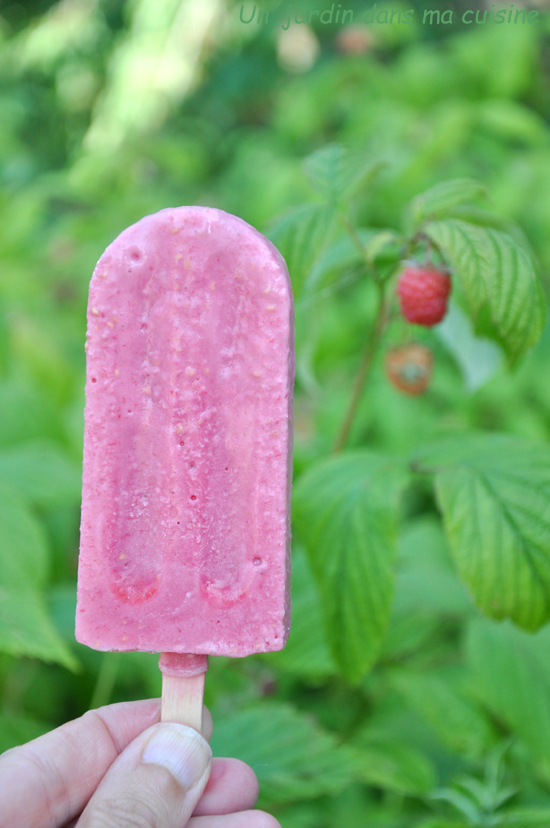 esquimaux sans sucre raffiné