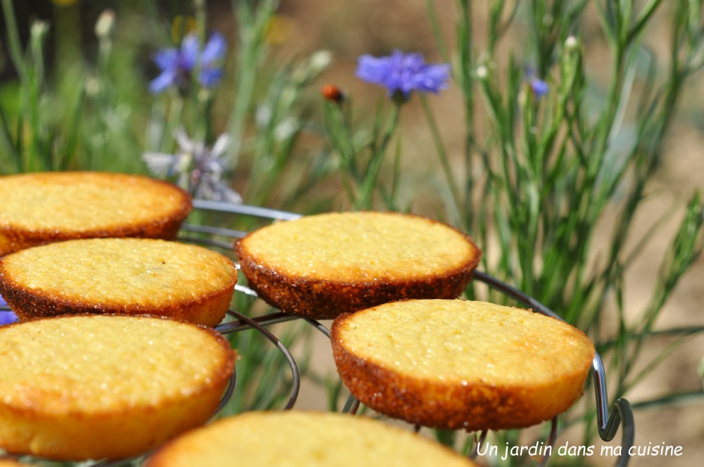 petits gâteaux au citron sans beurre