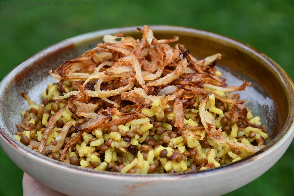 riz et lentilles aux oignons frits