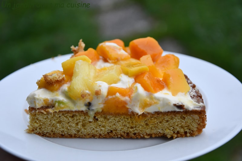 palet breton géant exotique