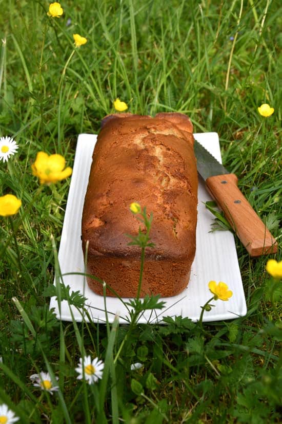 cake rhubarbe