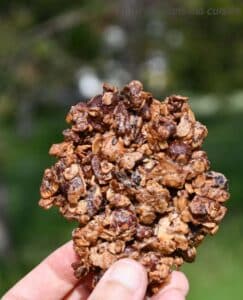 biscuits granola