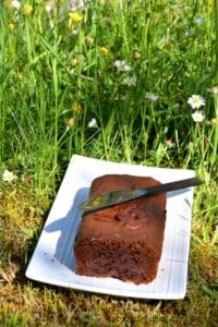 gâteau au chocolat intense