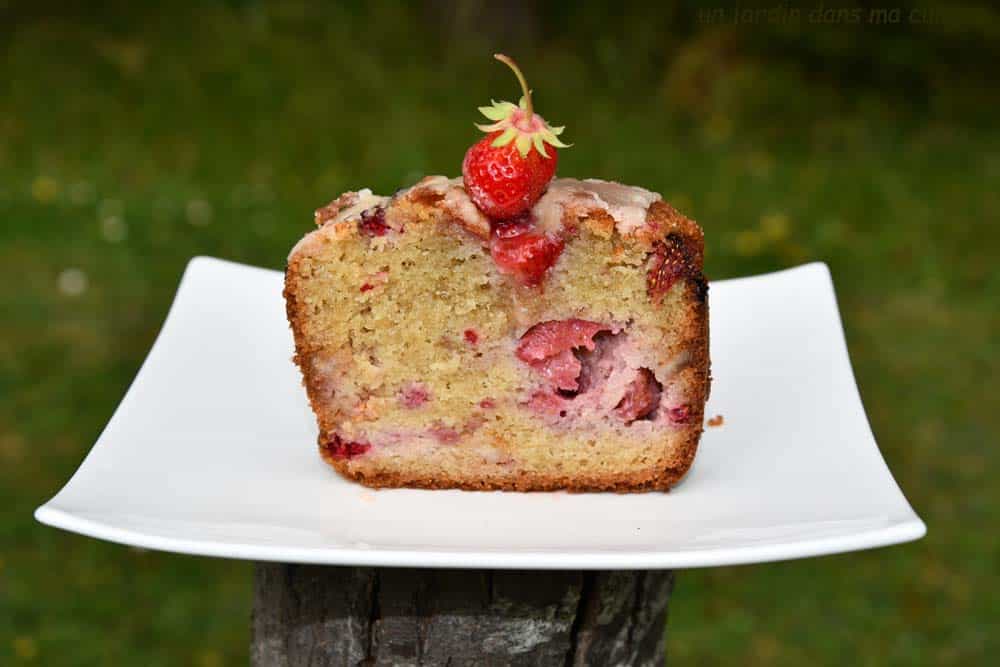 cake aux fruits rouges