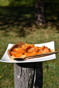 tarte aux abricots