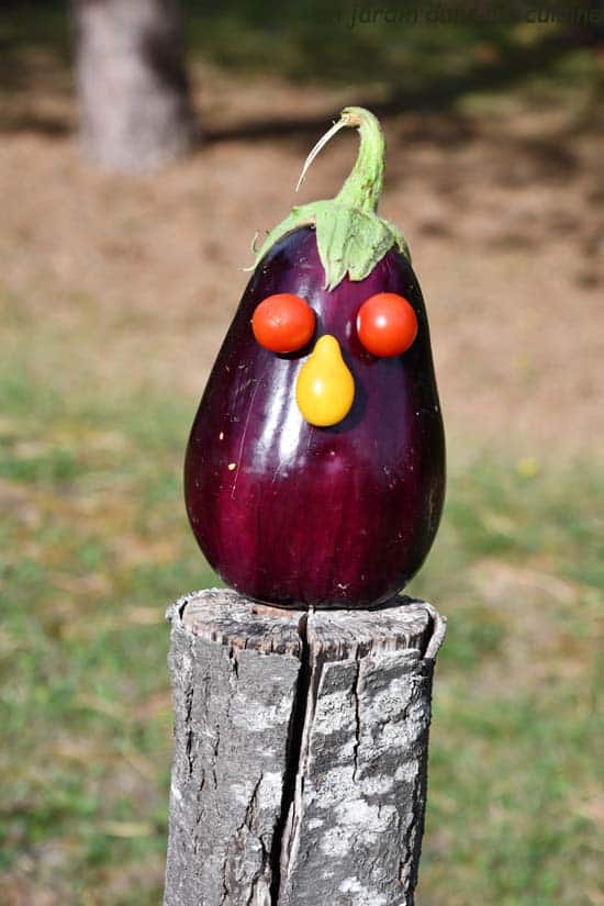 purée aubergines curry